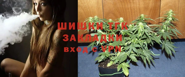 прущая мука Арсеньев